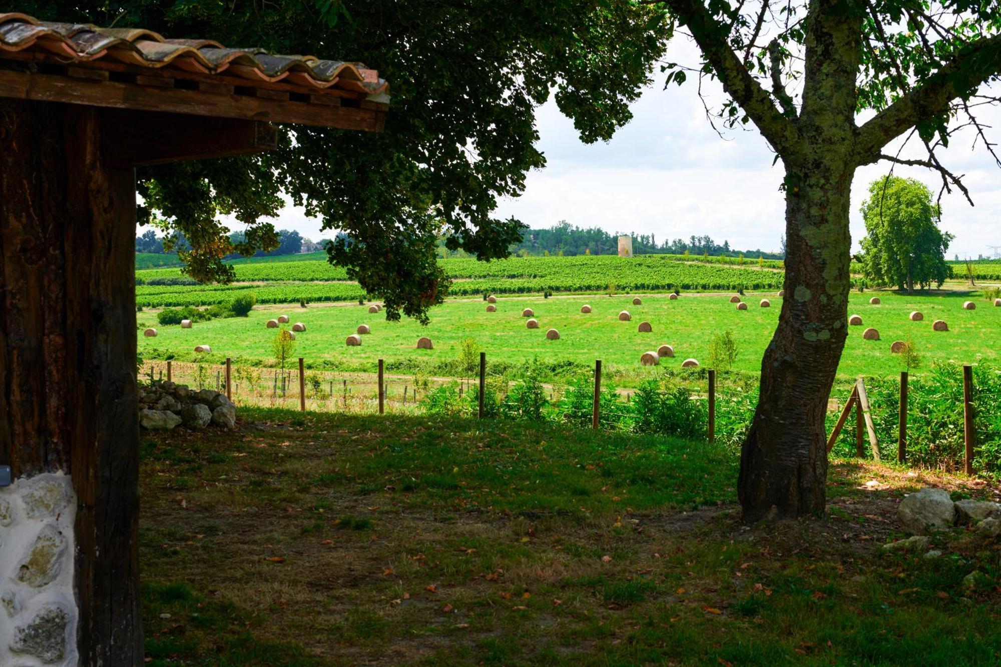 Fantastic Petit Beauval Otel Saint-Sulpice-et-Cameyrac Dış mekan fotoğraf